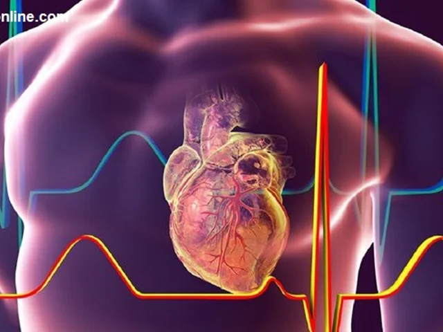 ابزار جدیدی برای نظارت بر فعالیت سلول‌های قلب توسط محققان ایرانی ساخته شد