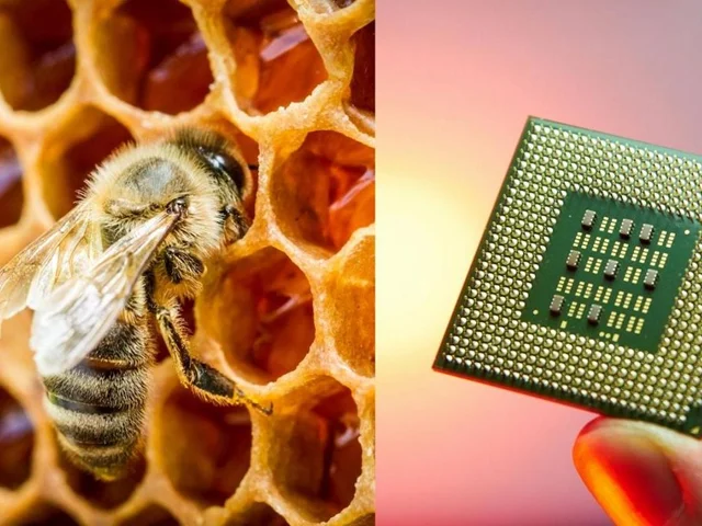 ساخت تراشه کامپیوتری شبیه به مغز انسان با استفاده ار عسل
