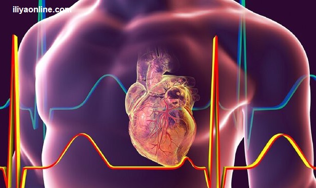 ابزار جدیدی برای نظارت بر فعالیت سلول‌های قلب توسط محققان ایرانی ساخته شد