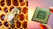 ساخت تراشه کامپیوتری شبیه به مغز انسان با استفاده ار عسل
